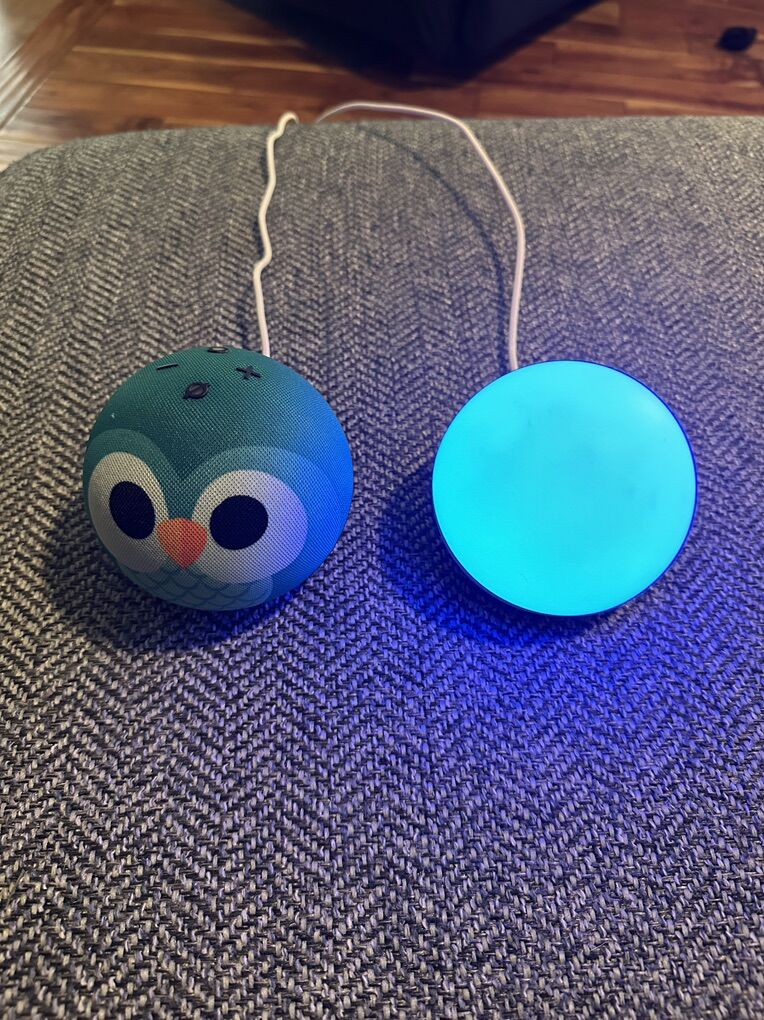 Amazon Echo And Echo Glow For Sale