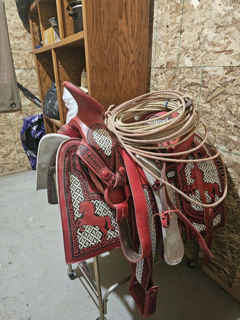 Horse Saddle