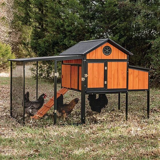 Chicken Coop