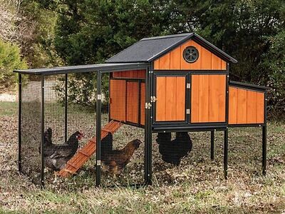 Chicken Coop