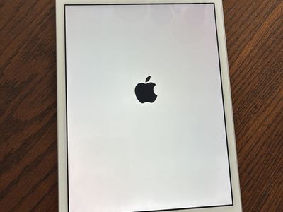 iPad Mini V2