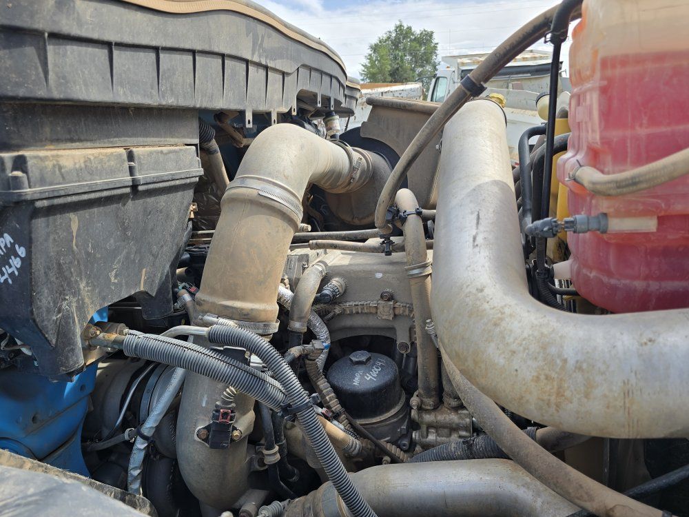 Main image 11