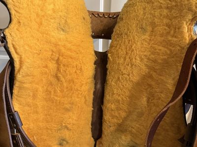 Saddle