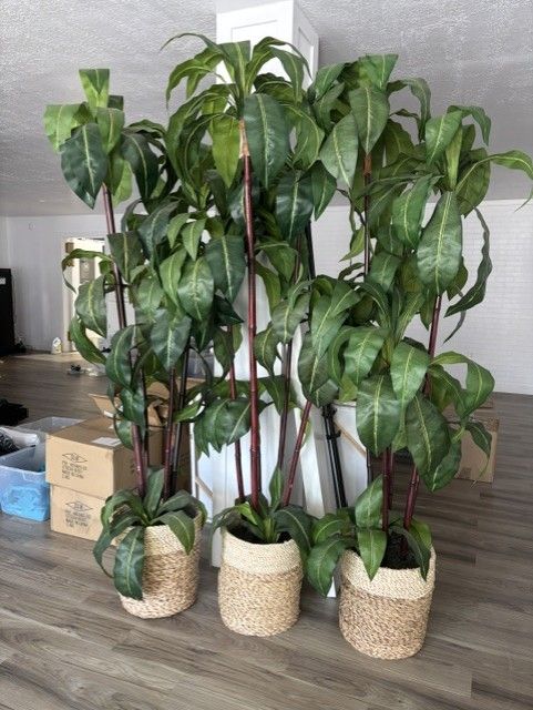 7' Tall, 5 point Bird's Nest Artificial Decorative Plants