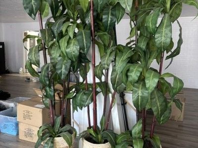 7' Tall, 5 point Bird's Nest Artificial Decorative Plants