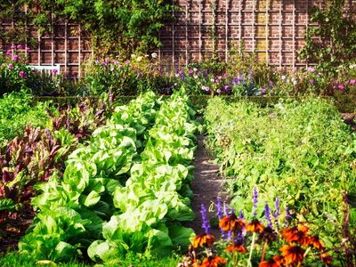 Garden Disking Needed - Layton, UT $100