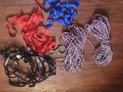 Used Climbing Gear Lot: Harness, Ropes, Carabiner, Belay Device, Slings