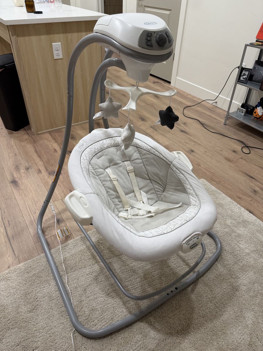 DuetConnect™ LX Swing and Bouncer