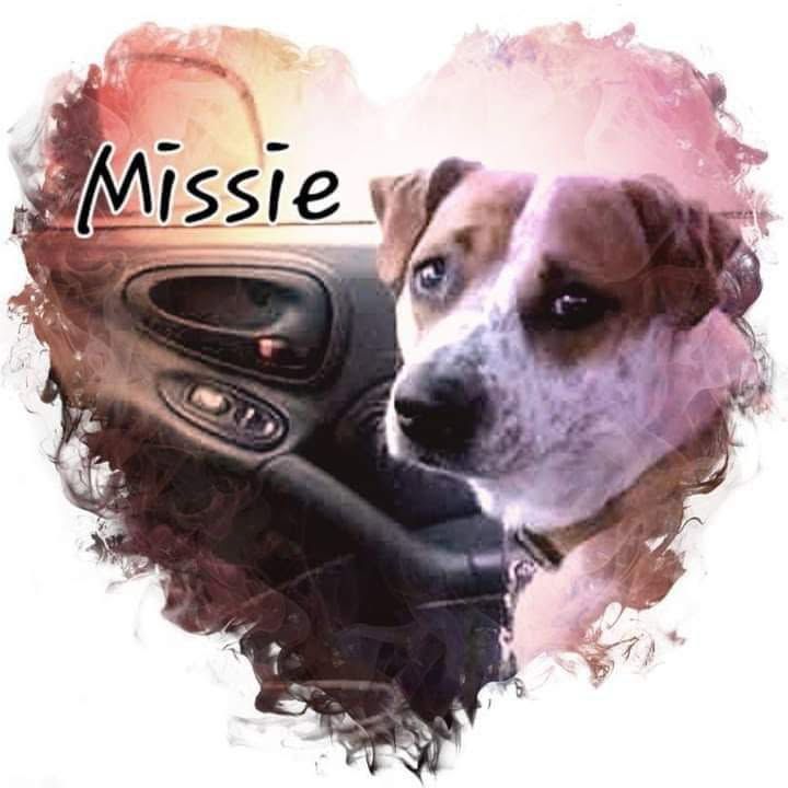 I.s.o worn out extension cords, etc