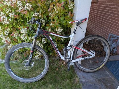Large giant trance 29er MTB
