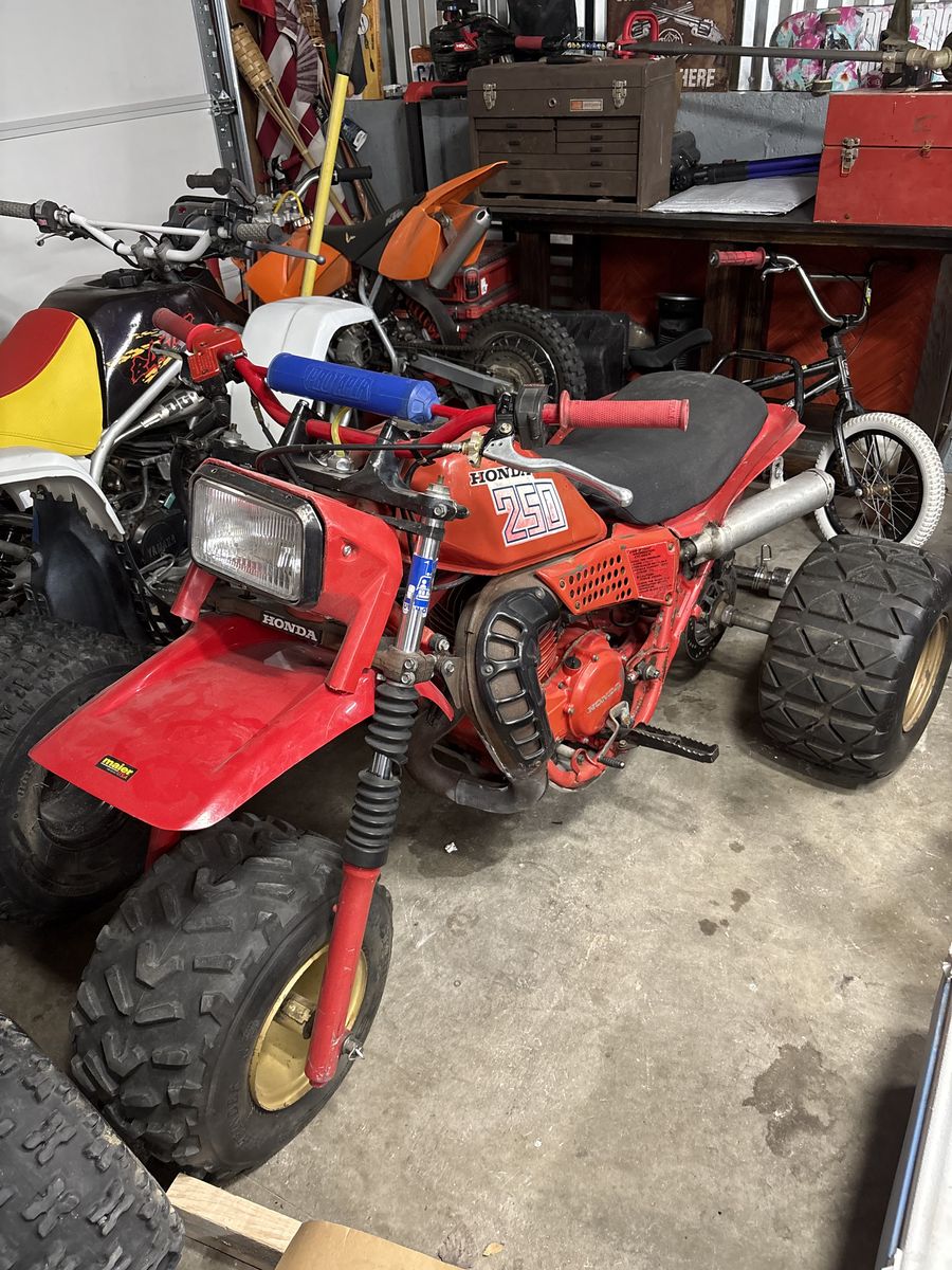 1982 ATC 250R 