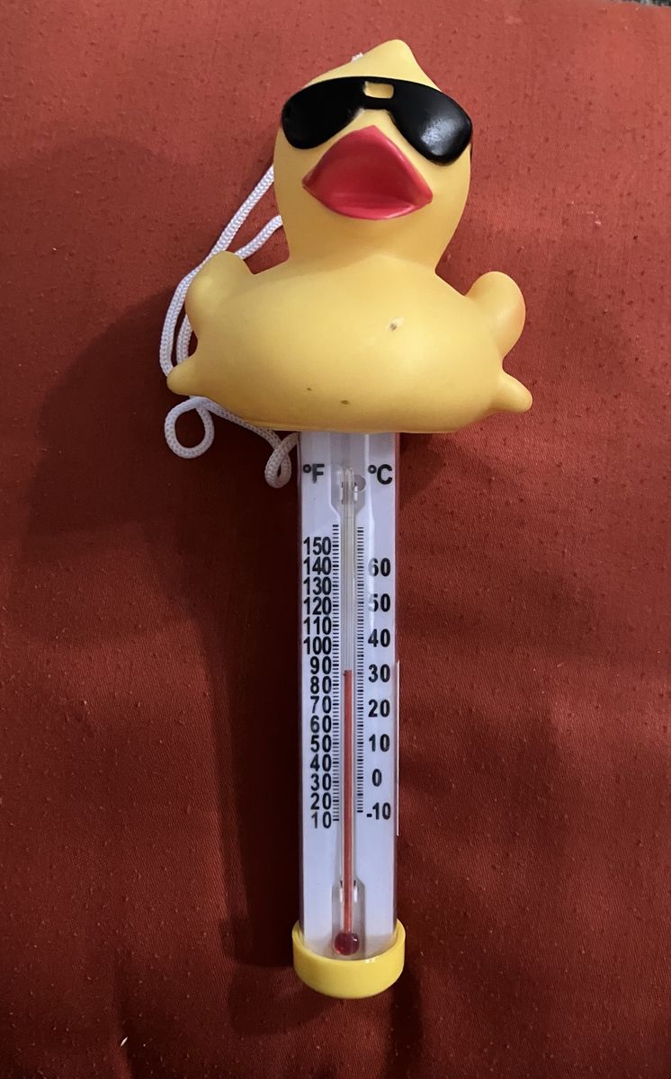Game Derby Duck Thermometer for Pool or Water Temperature