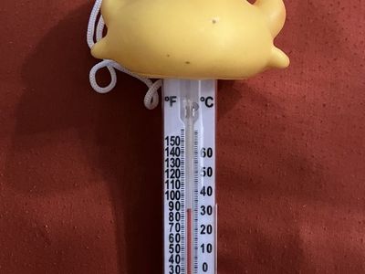Game Derby Duck Thermometer for Pool or Water Temperature