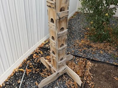 Strawberry Planter