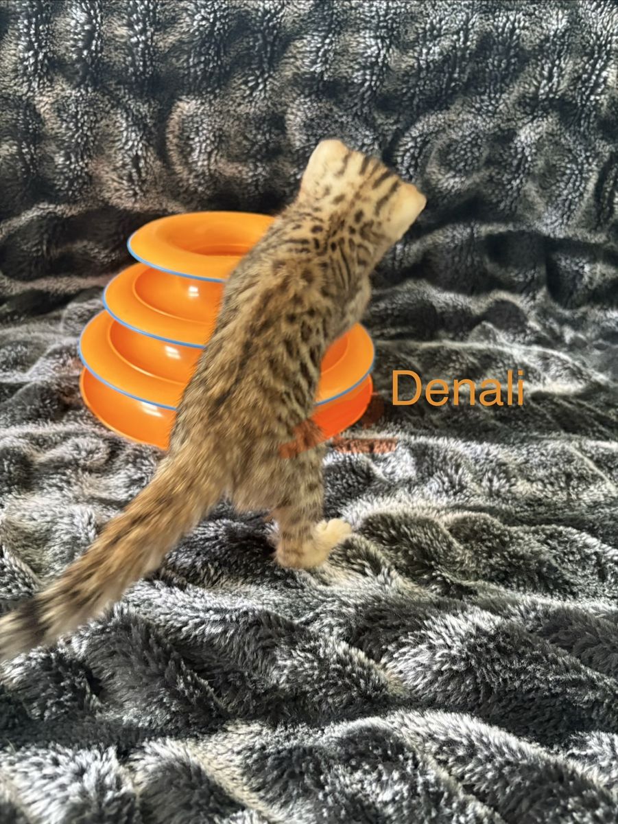 Main image 3