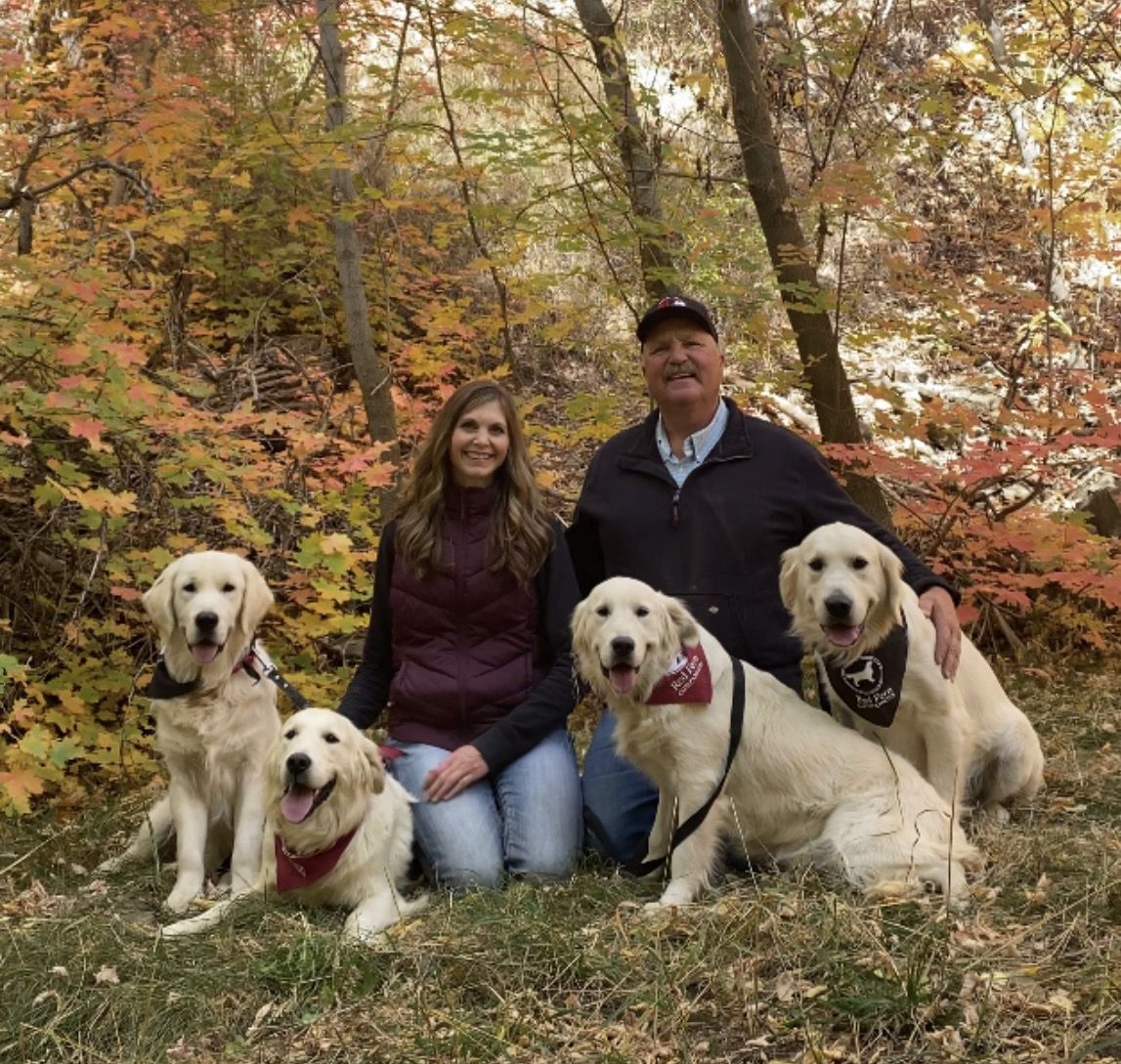 English Golden Retriever Breeding and Training Business