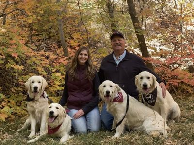 English Golden Retriever Breeding and Training Business