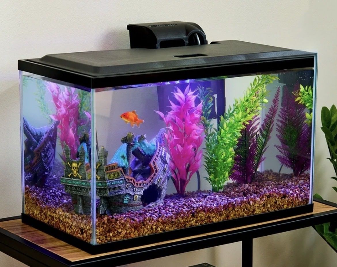 10 Gallon Fish Tank Aquarium