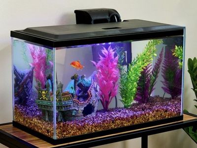 10 Gallon Fish Tank Aquarium