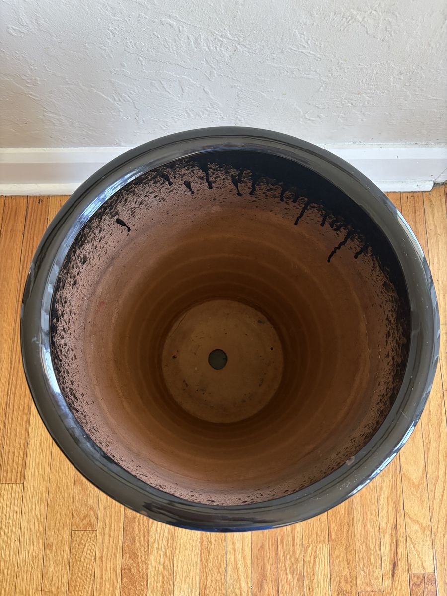 Main image 4