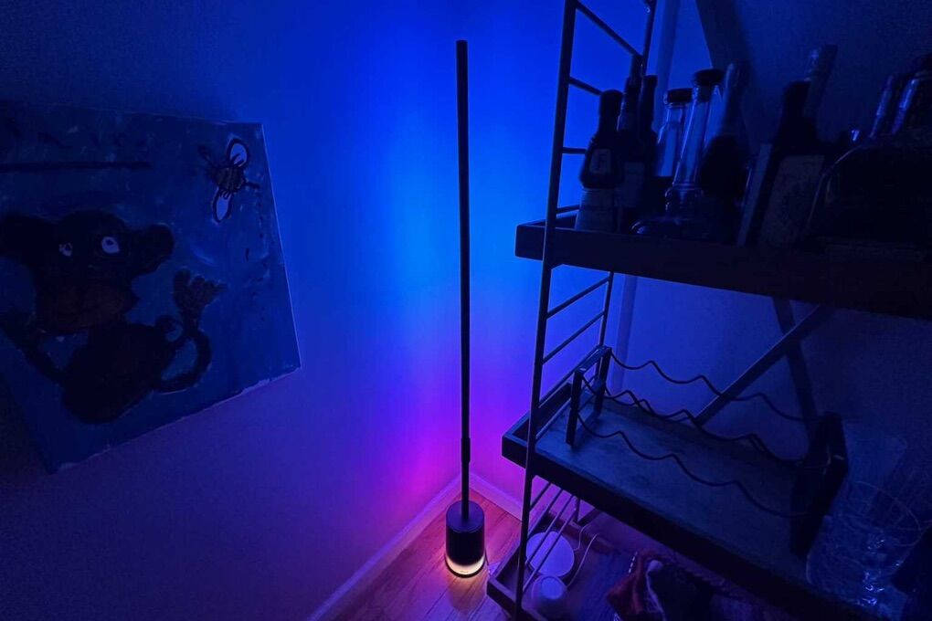 Govee Floor Lamp pro