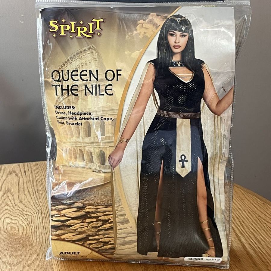 Spirit Halloween Queen of the Nile custome size small