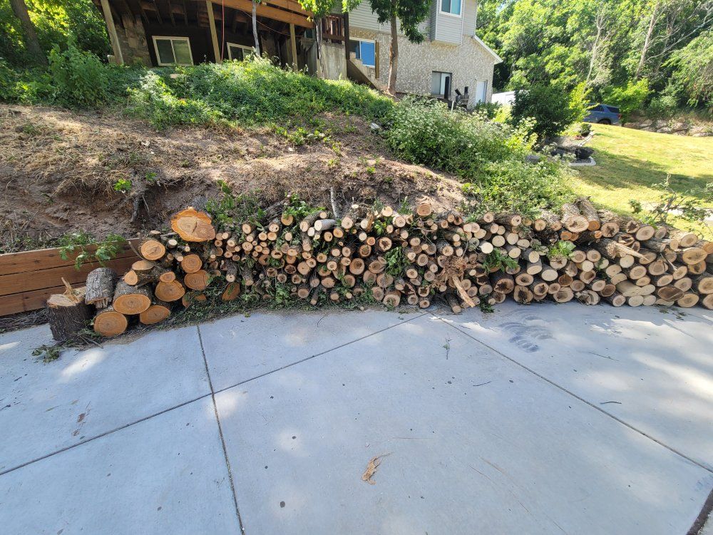 FREE FIREWOOD