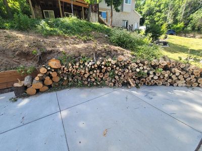 FREE FIREWOOD