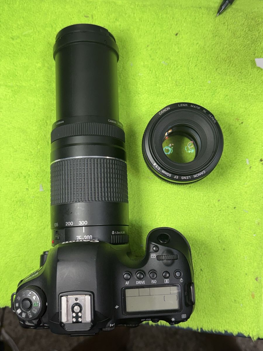 6d ii 625$, 75-300 150$ , 50mm 1.4 180$ 