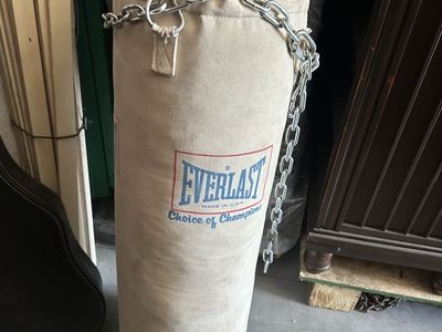 Everlast boxing bag