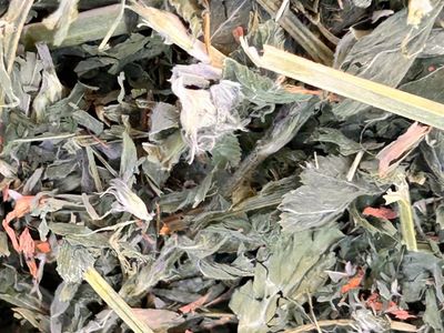 Grain hay for sale