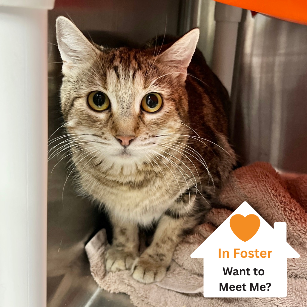 Hello my name is Fern Puddle