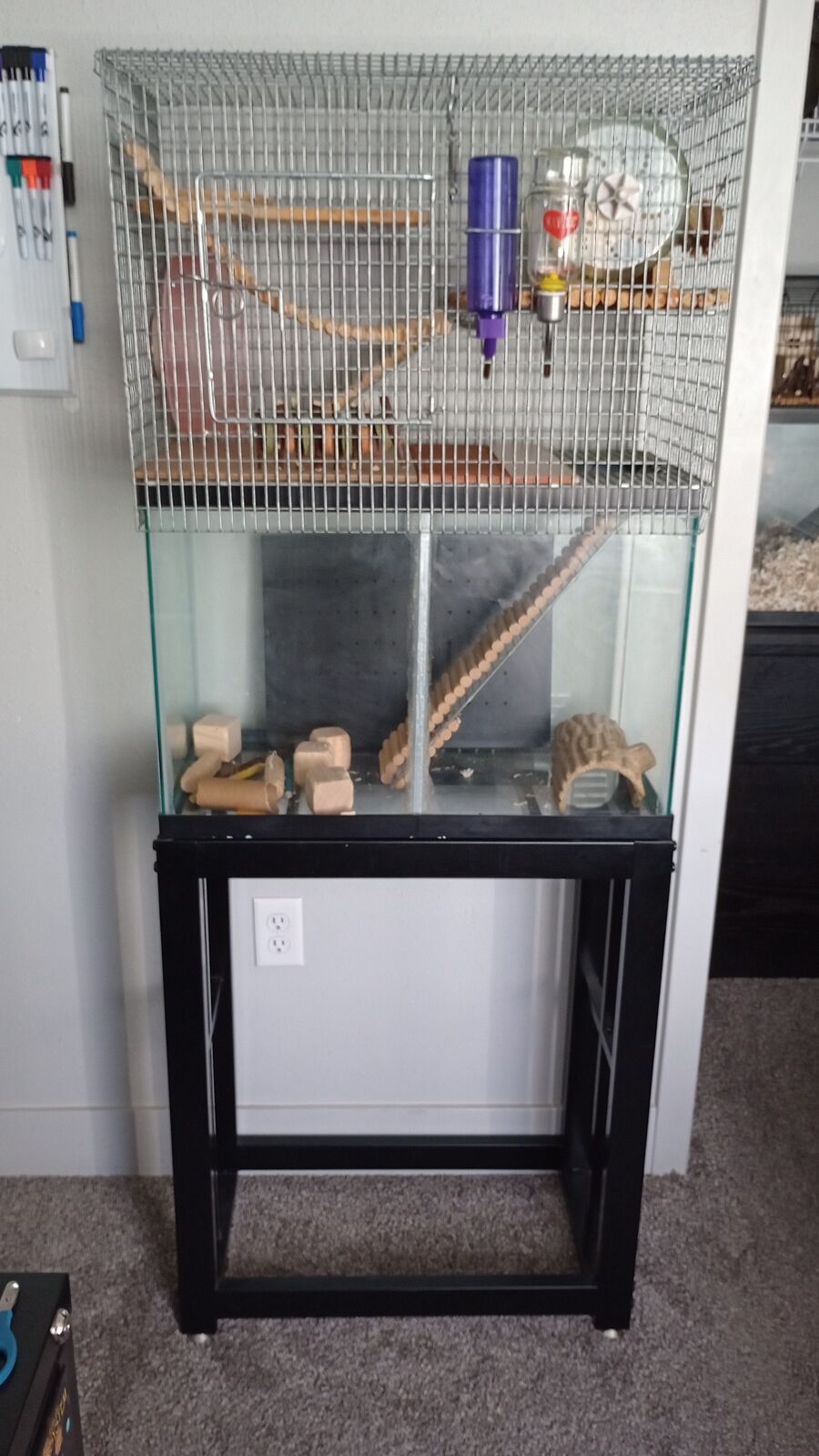 20-Gallon Gerbil/Hamster Habitat for Sale