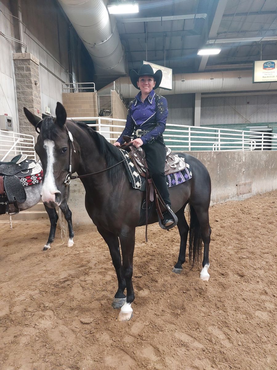Half Arabian Western Horse for sales.