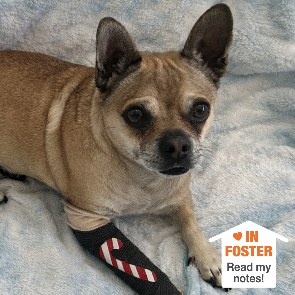 Hello my name is Coco