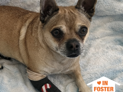 Hello my name is Coco