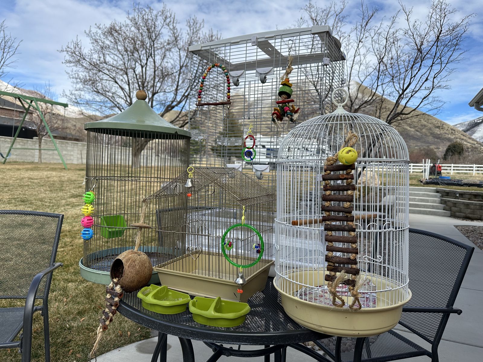 Bird cages