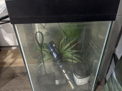 Glass Aquarium Fish Tank with Lid, Heater, & Filter - Used, Good Condition