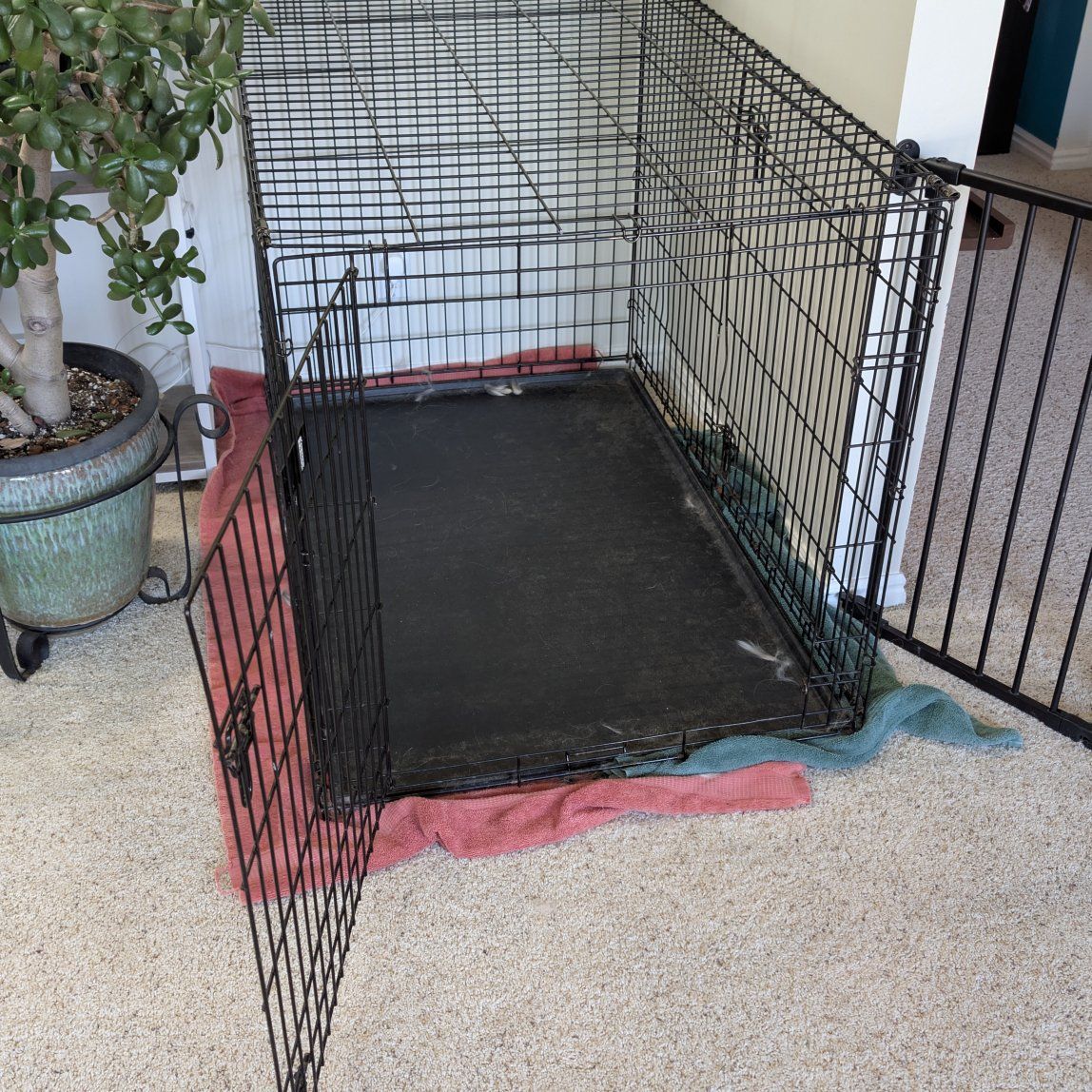 dog crate