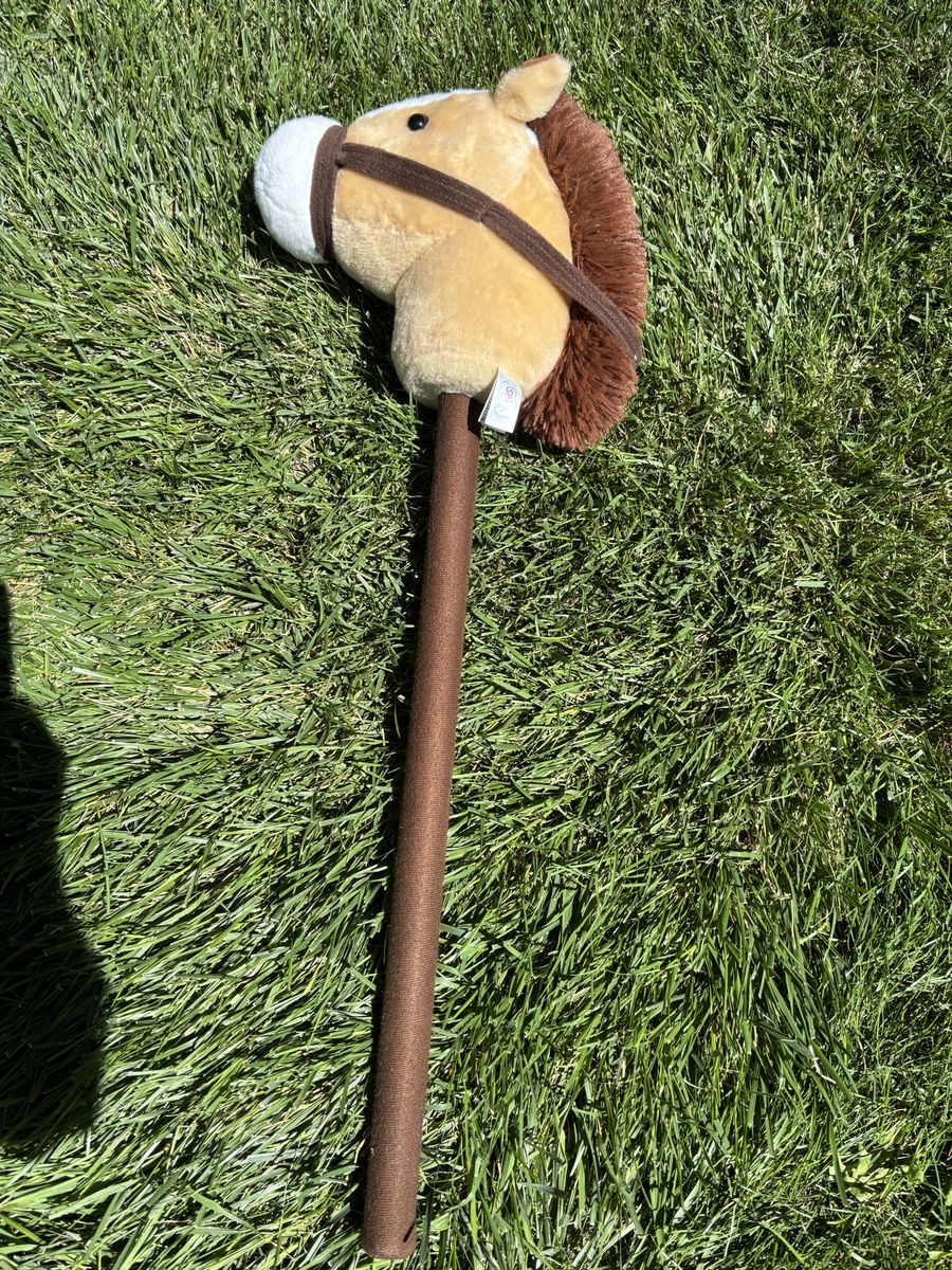 Play horse