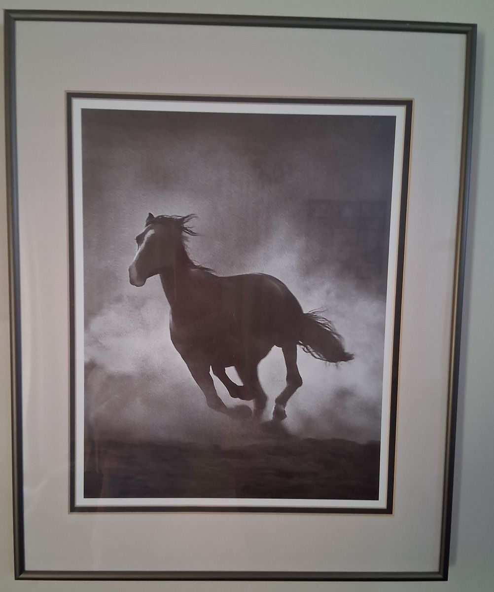 Horse Art