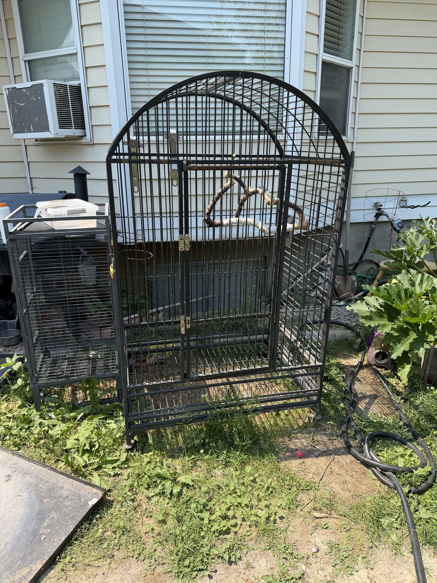 Large bird cage