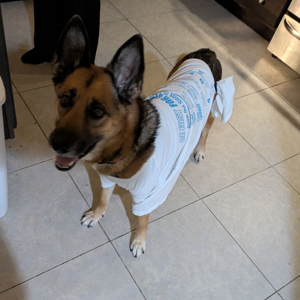 Hello my name is Portia