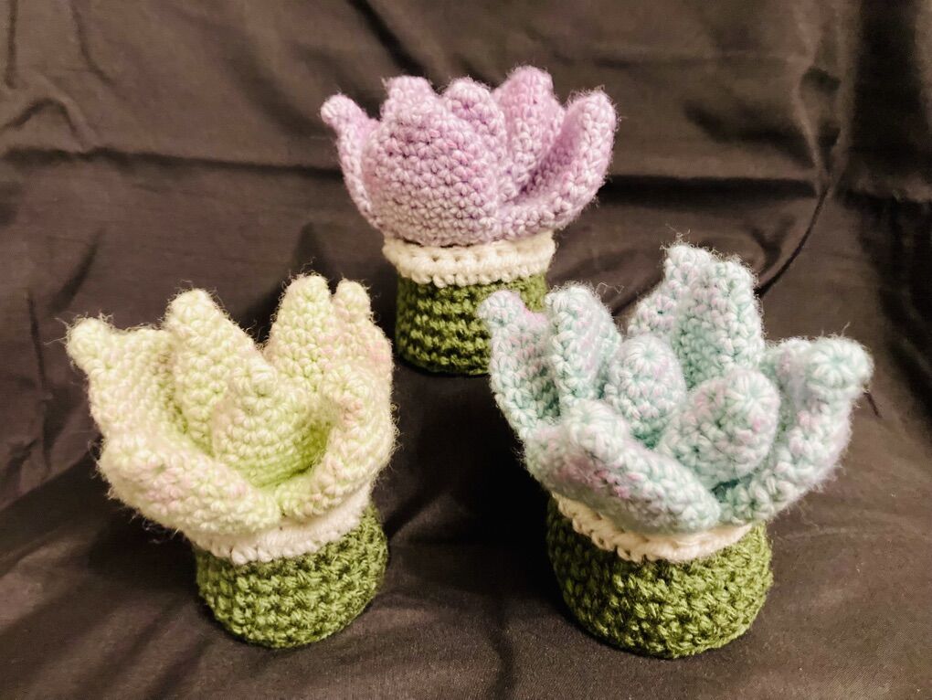 Handcrafted Succulant Set of 3