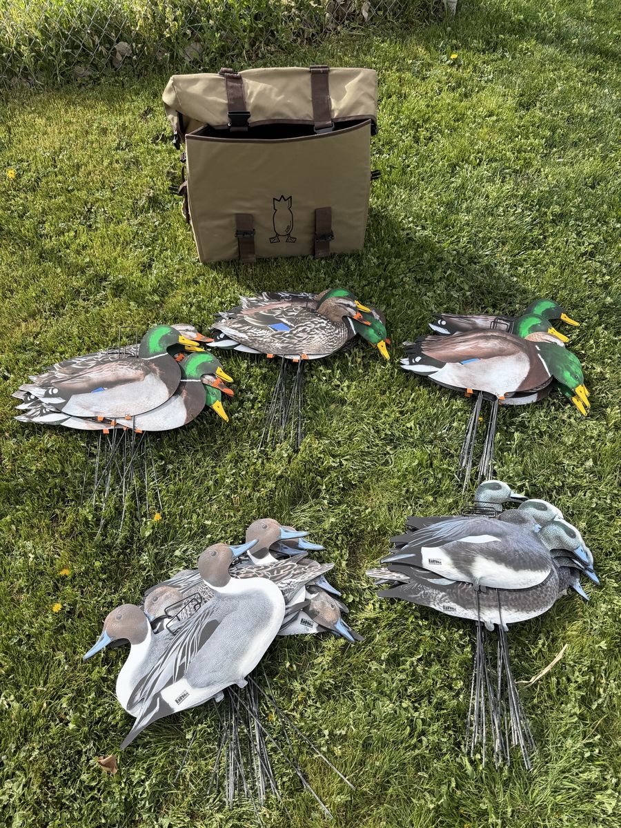 5 Dozen Silo Duck Decoys And Bag