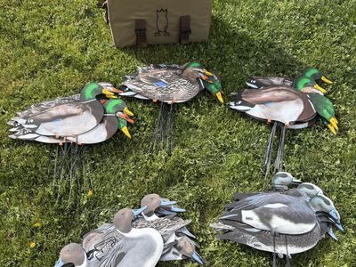 5 Dozen Silo Duck Decoys And Bag