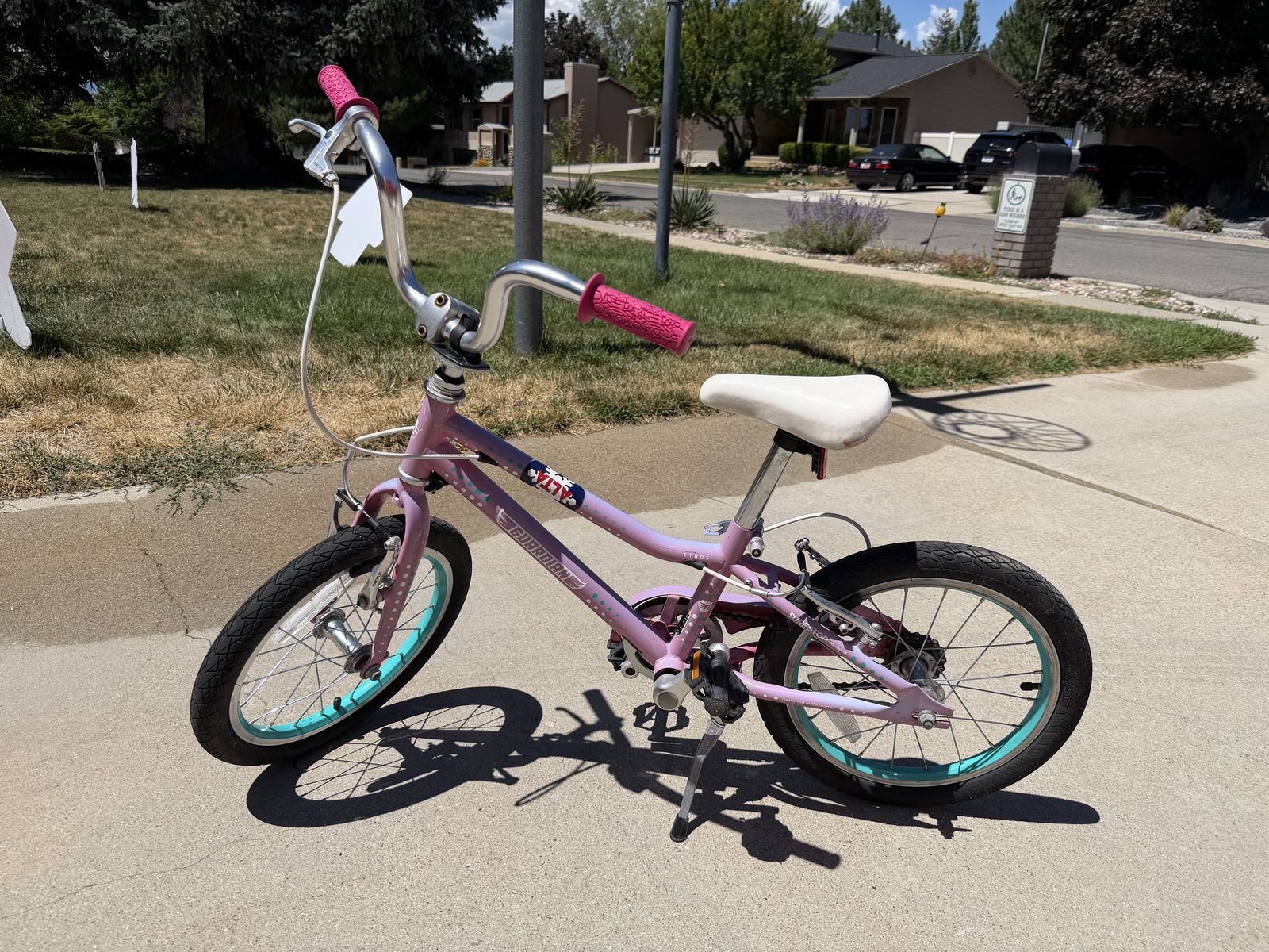 Guardian 16" Wheel Kid's Bike, Pink/Teal