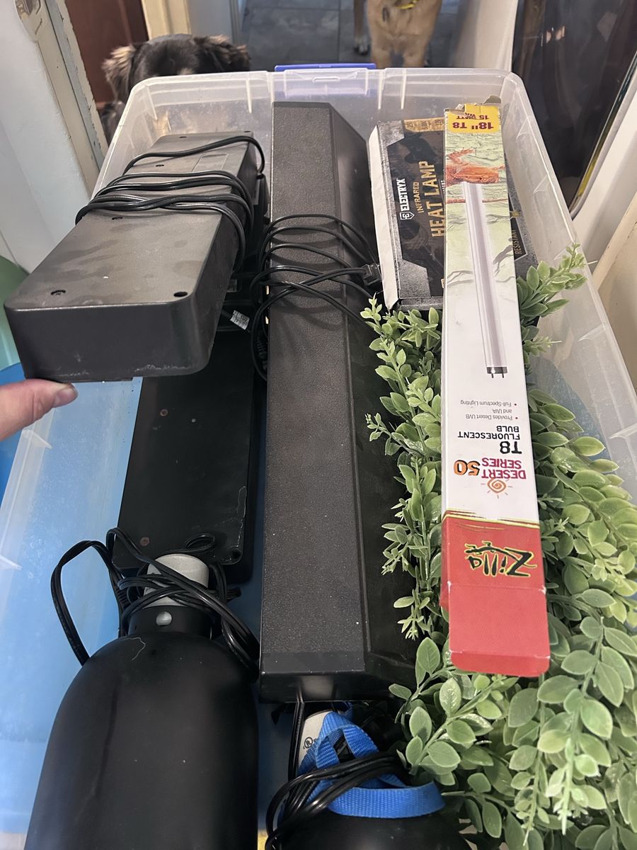 T6 Light Fixtures Reptile