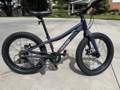 REI Co-op Rev 20