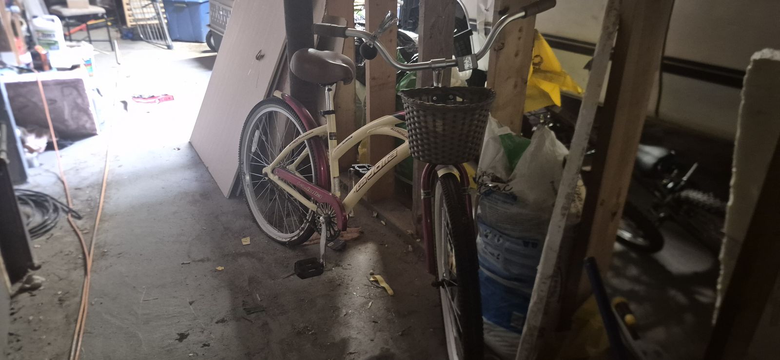 adult bike